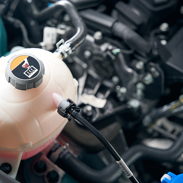 Fuel System Cleaning and Tune-Ups